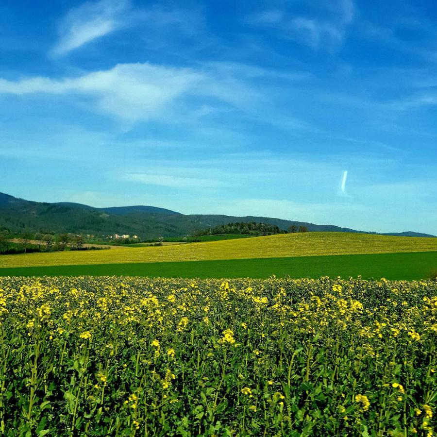 Agroturystyka Sielska Kraina Zabkowice Slaskie Exteriér fotografie
